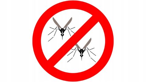 270ce0b50c4fbcd158ccdc4760172b08.jpg PŁYN DO USUWANIA OWADÓW Z SAMOCHODU CIĘŻARÓWKI TIRA Nerta Anti-Insect 5 L