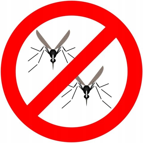 270ce0b50c4fbcd158ccdc4760172b08.jpg PŁYN DO USUWANIA OWADÓW Z SAMOCHODU CIĘŻARÓWKI TIRA Nerta Anti-Insect 5 L