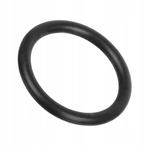 2dda8847f30ebc9c1c60eba90ec80181.jpg Uszczelka o-ring 17,3 x 2,4 do korka głowicy myjek KARCHER HDS 6.362-160.0